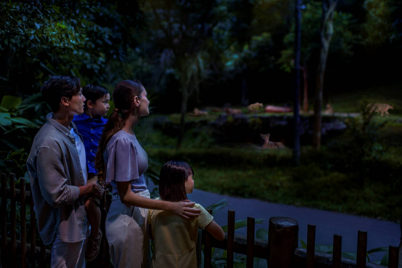  [싱가폴]싱가포르 나이트 사파리 입장권